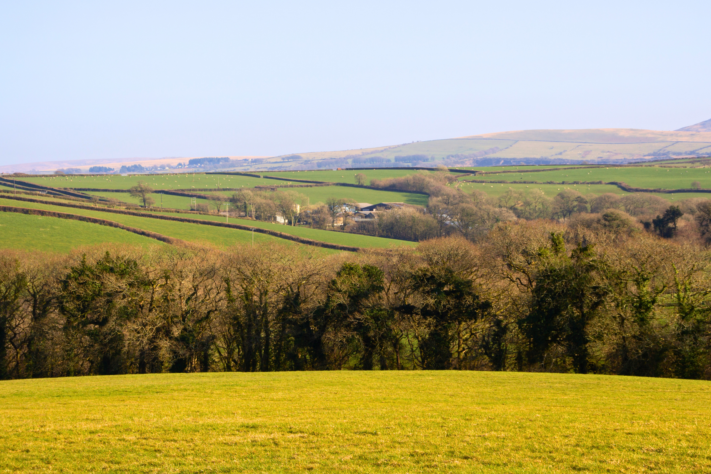 dartmoor national park (4).webp